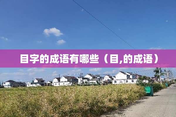 目字的成语有哪些（目,的成语）