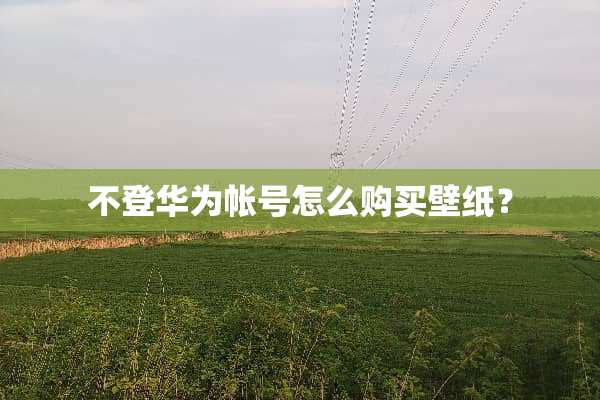 不登华为帐号怎么购买壁纸？