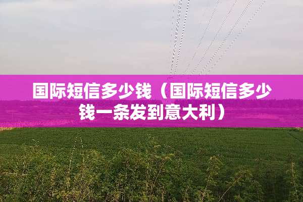 国际短信多少钱（国际短信多少钱一条发到意大利）