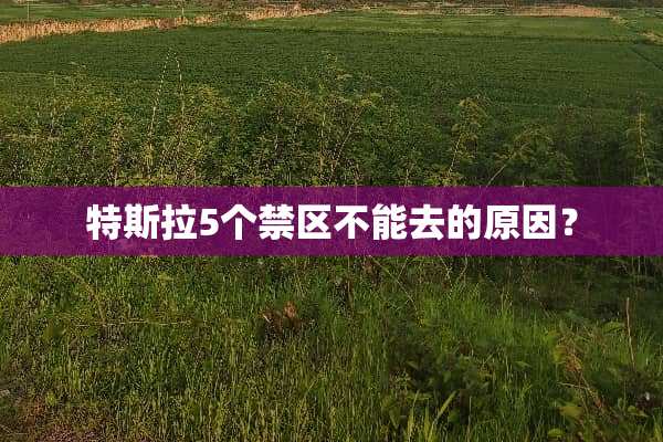 特斯拉5个禁区不能去的原因？