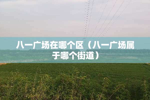 八一广场在哪个区（八一广场属于哪个街道）