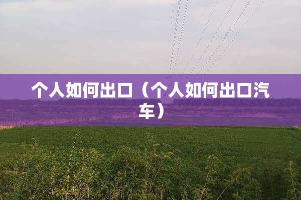 个人如何出口（个人如何出口汽车）