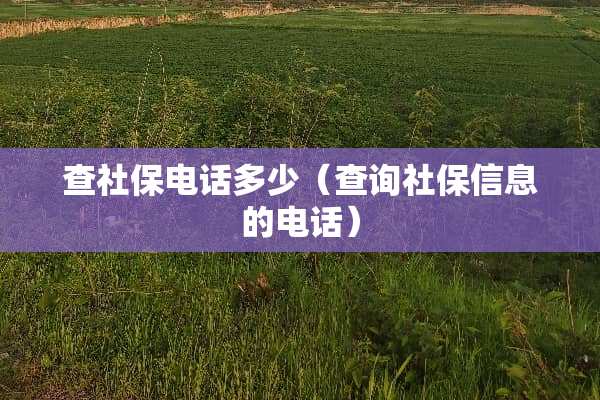 查社保电话多少（查询社保信息的电话）