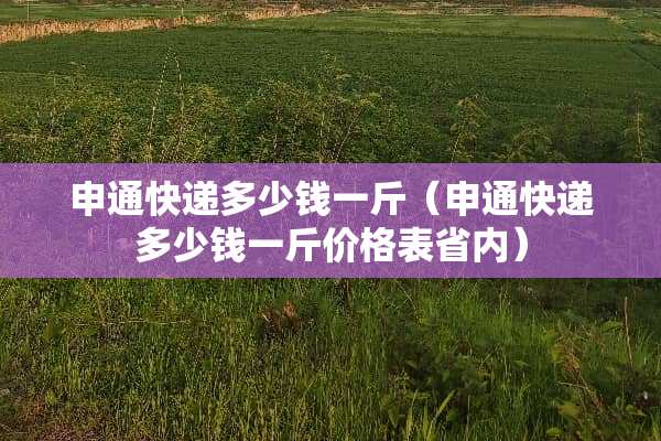 申通快递多少钱一斤（申通快递多少钱一斤价格表省内）