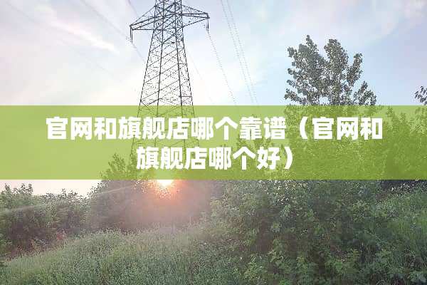 官网和旗舰店哪个靠谱（官网和旗舰店哪个好）