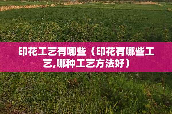 印花工艺有哪些（印花有哪些工艺,哪种工艺方法好）