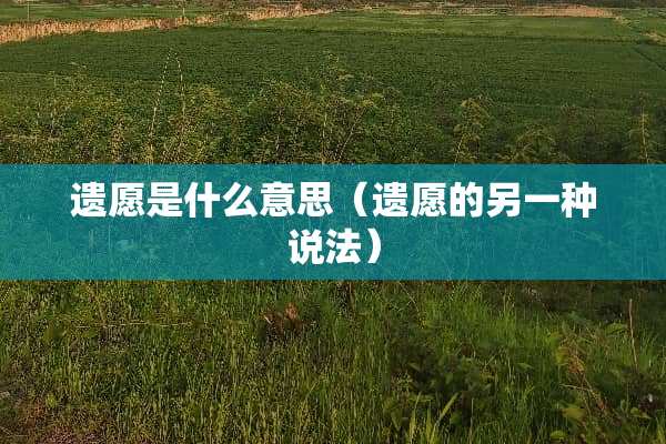 遗愿是什么意思（遗愿的另一种说法）