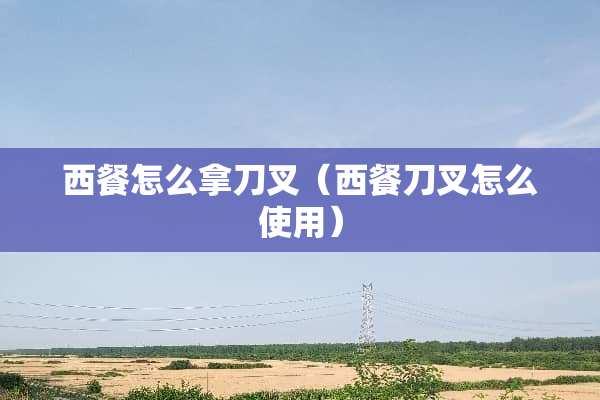 西餐怎么拿刀叉（西餐刀叉怎么使用）