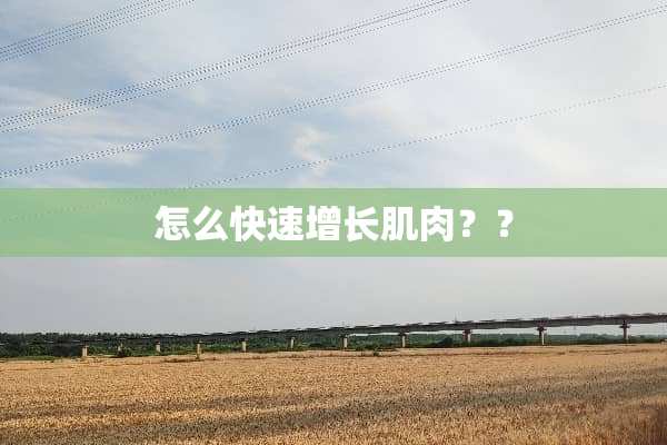 怎么快速增长肌肉？？