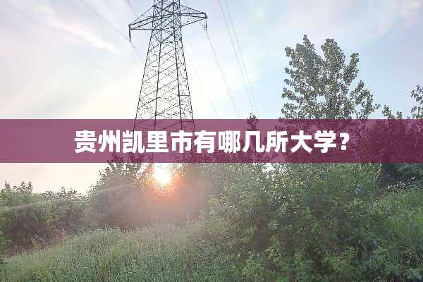 贵州凯里市有哪几所大学？