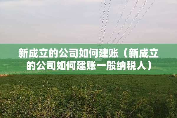 新成立的公司如何建账（新成立的公司如何建账一般纳税人）