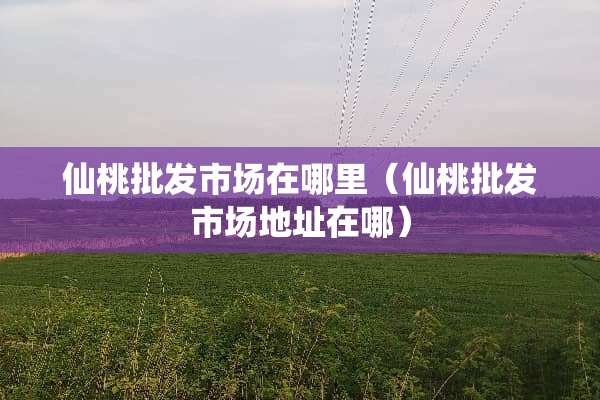 仙桃批发市场在哪里（仙桃批发市场地址在哪）