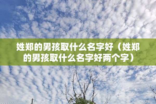 姓郑的男孩取什么名字好（姓郑的男孩取什么名字好两个字）
