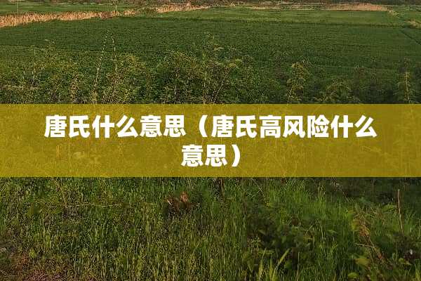 唐氏什么意思（唐氏高风险什么意思）