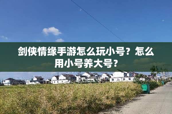 剑侠情缘手游怎么玩小号？怎么用小号养大号？