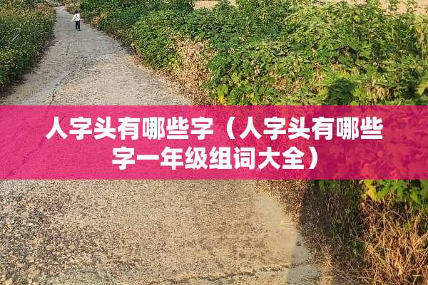 人字头有哪些字（人字头有哪些字一年级组词大全）
