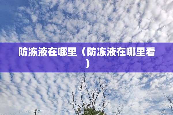 防冻液在哪里（防冻液在哪里看）