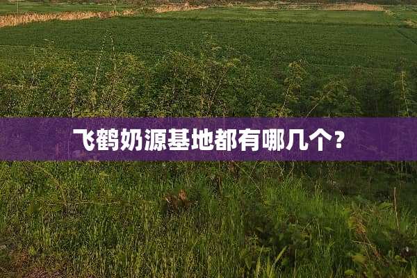 飞鹤奶源基地都有哪几个？