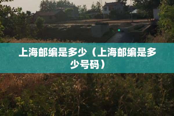 上海邮编是多少（上海邮编是多少号码）