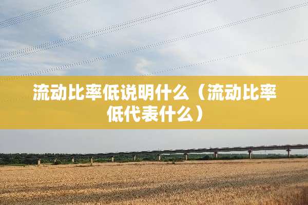 流动比率低说明什么（流动比率低代表什么）