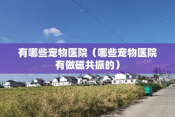 有哪些宠物医院（哪些宠物医院有做磁共振的）