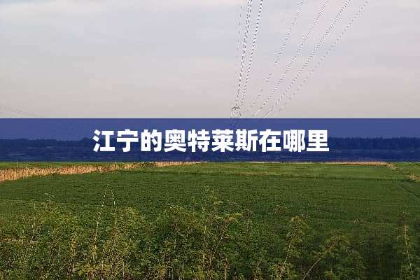 江宁的奥特莱斯在哪里