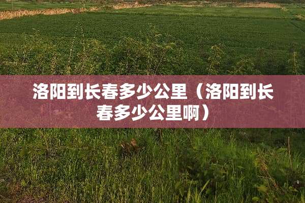 洛阳到长春多少公里（洛阳到长春多少公里啊）