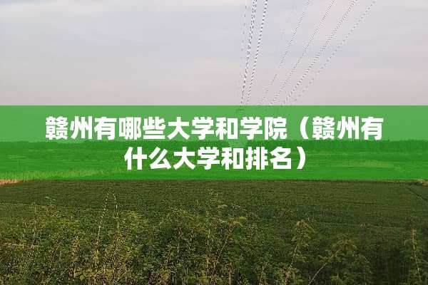 赣州有哪些大学和学院（赣州有什么大学和排名）