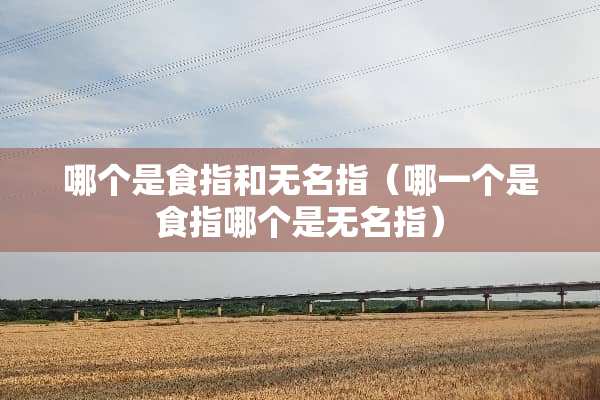 哪个是食指和无名指（哪一个是食指哪个是无名指）