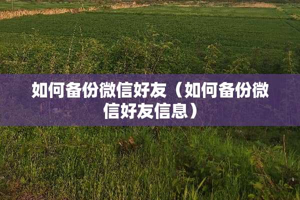 如何备份微信好友（如何备份微信好友信息）