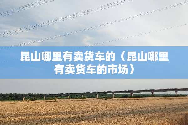 昆山哪里有卖货车的（昆山哪里有卖货车的市场）