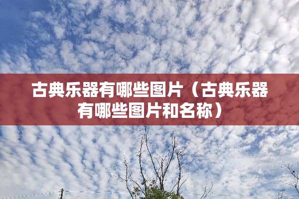 古典乐器有哪些图片（古典乐器有哪些图片和名称）