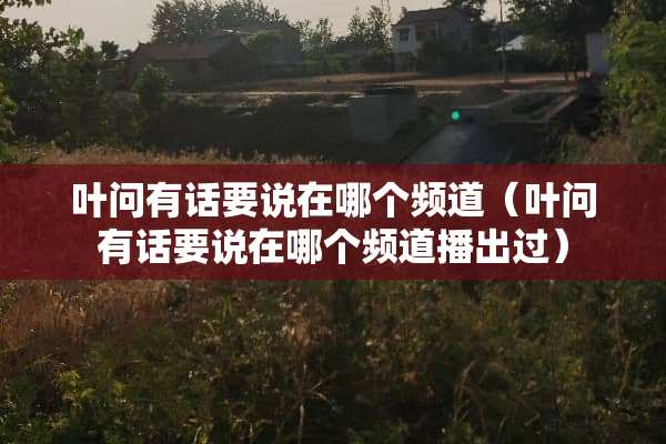 叶问有话要说在哪个频道（叶问有话要说在哪个频道播出过）