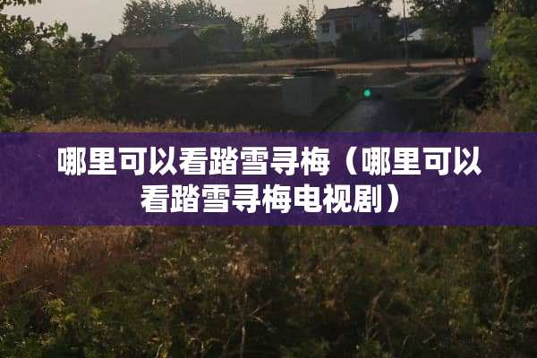 哪里可以看踏雪寻梅（哪里可以看踏雪寻梅电视剧）