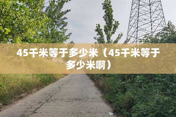 45千米等于多少米（45千米等于多少米啊）