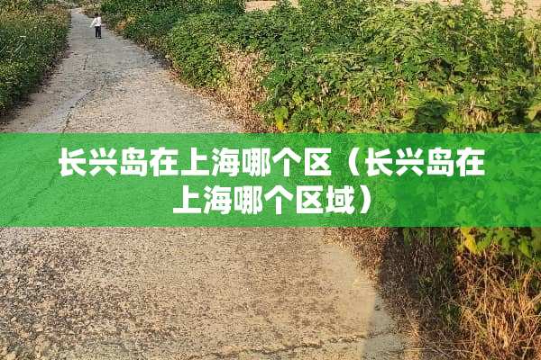 长兴岛在上海哪个区（长兴岛在上海哪个区域）