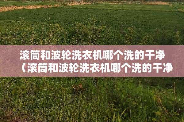 滚筒和波轮洗衣机哪个洗的干净（滚筒和波轮洗衣机哪个洗的干净些衣服）