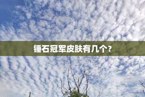 锤石冠军皮肤有几个？