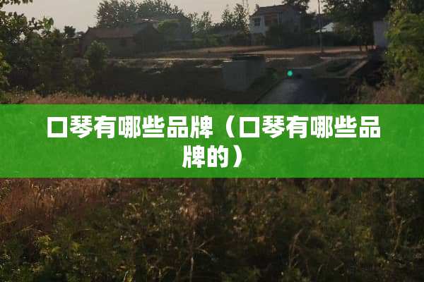口琴有哪些品牌（口琴有哪些品牌的）