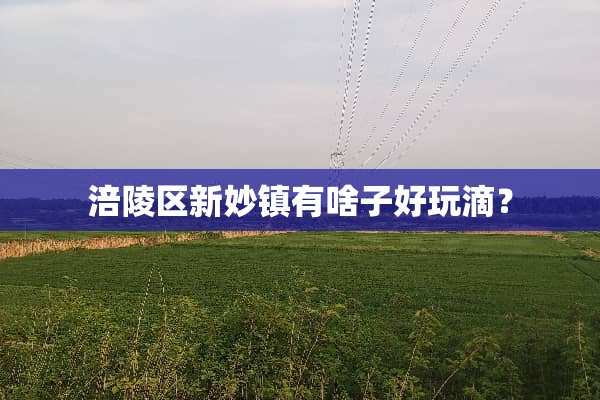 涪陵区新妙镇有啥子好玩滴？