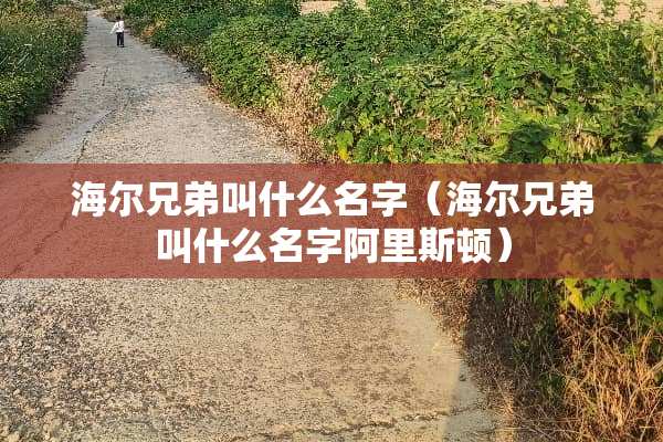 海尔兄弟叫什么名字（海尔兄弟叫什么名字阿里斯顿）