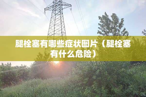 腿栓塞有哪些症状图片（腿栓塞有什么危险）
