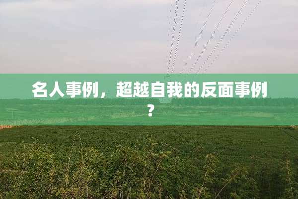 名人事例，超越自我的反面事例？