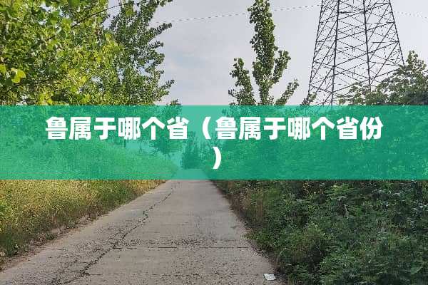 鲁属于哪个省（鲁属于哪个省份）