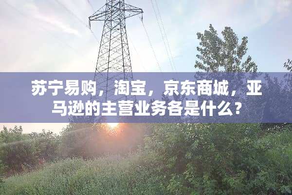 苏宁易购，淘宝，京东商城，亚马逊的主营业务各是什么？