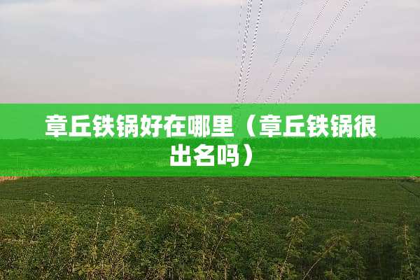 章丘铁锅好在哪里（章丘铁锅很出名吗）