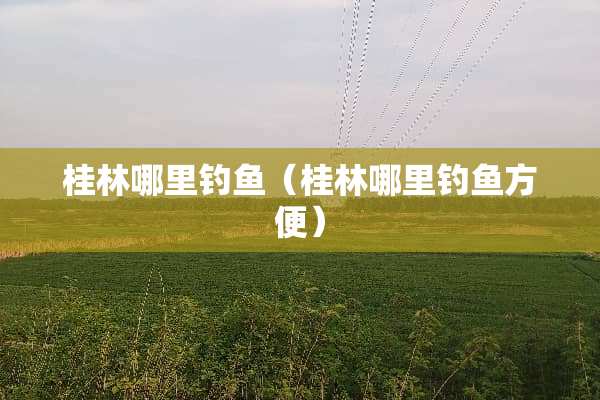 桂林哪里钓鱼（桂林哪里钓鱼方便）