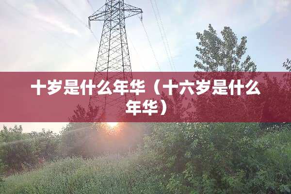 十岁是什么年华（十六岁是什么年华）