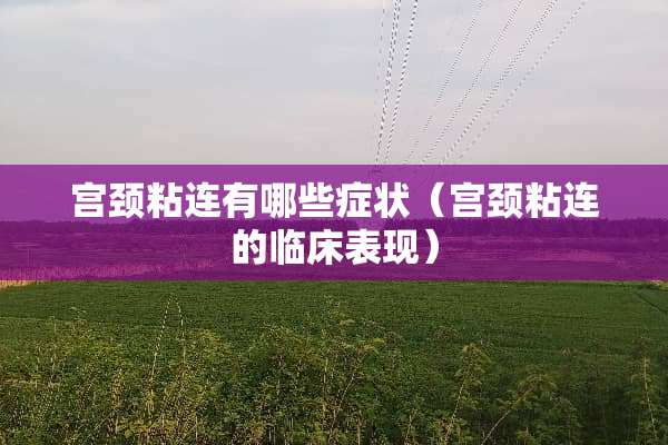 宫颈粘连有哪些症状（宫颈粘连的临床表现）