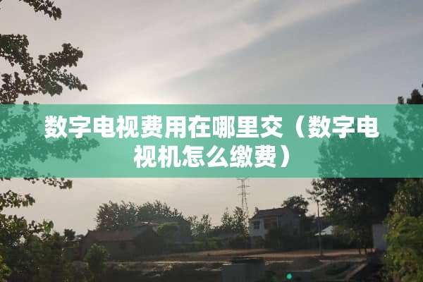 数字电视费用在哪里交（数字电视机怎么缴费）